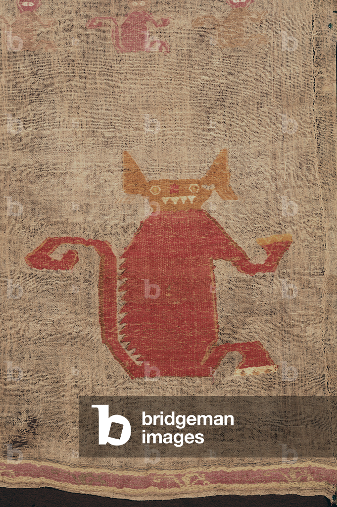 Detail from a shroud, 1400s (woven cotton & vicuna brocaded in coloured wools)