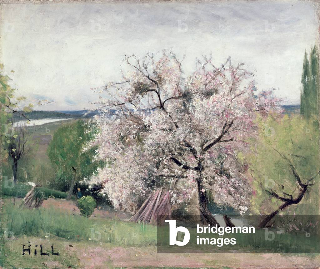 Blühender Obstbaum, Bois-le-Roi