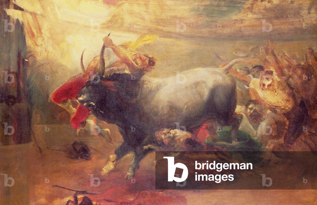 The Bull Fight
