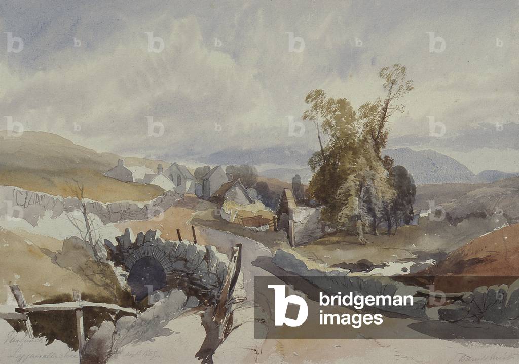 Strada di campagna con cottage