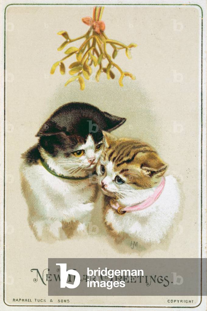 Kittens and Mistletoe, c.1901-10 (postcard)
