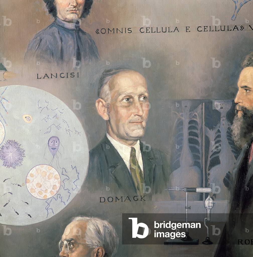 Gerhard Domagk (1895-1964), German scientist (oil on canvas) (see 130064,66-67)