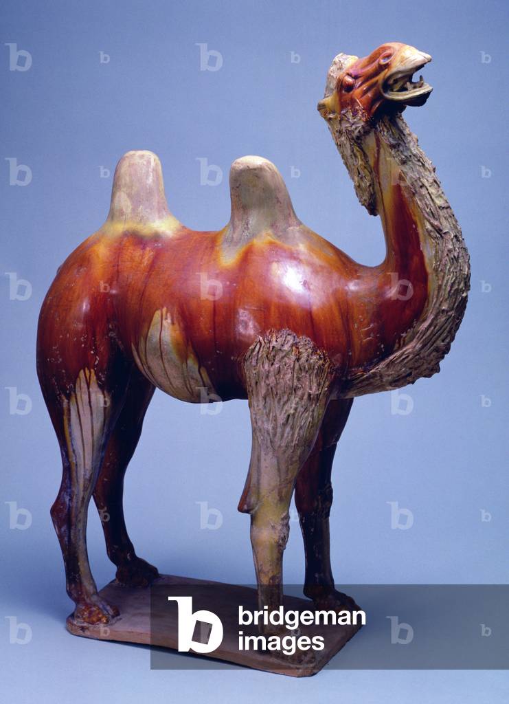 Camel, Tang Dynasty (polychrome glazed pottery)