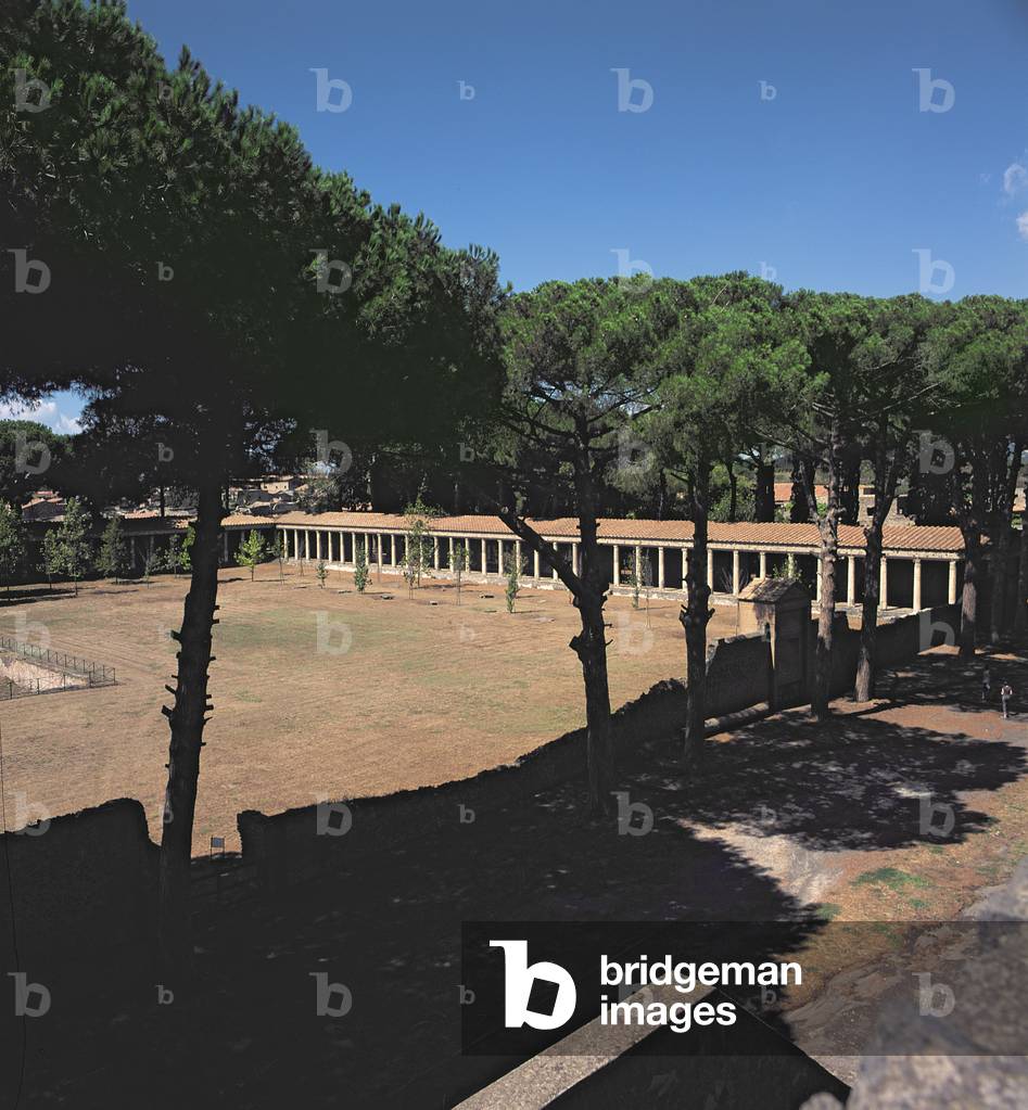 The Great Palaestra (photo)