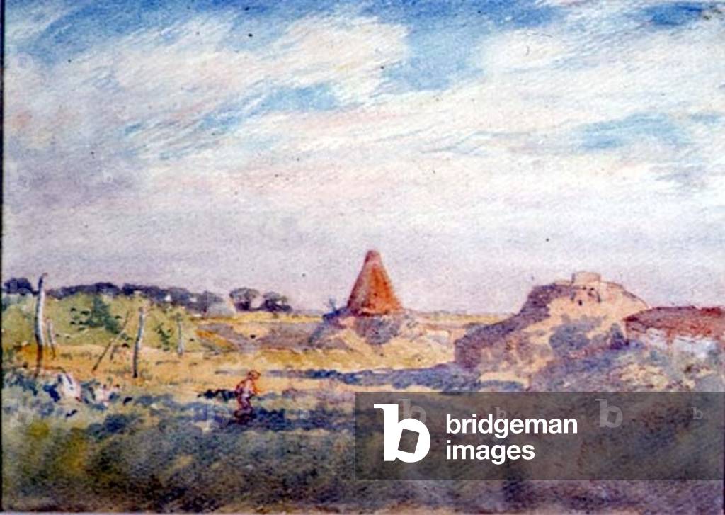 Evening Landscape