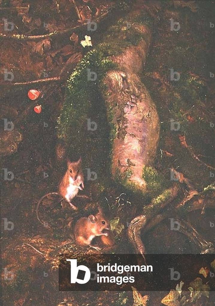 Field Mice at the Foot of a Tree, 1876