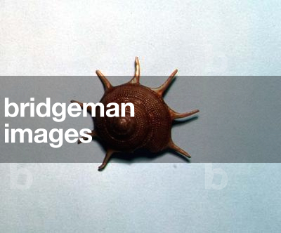 Guildfordia Triumphans