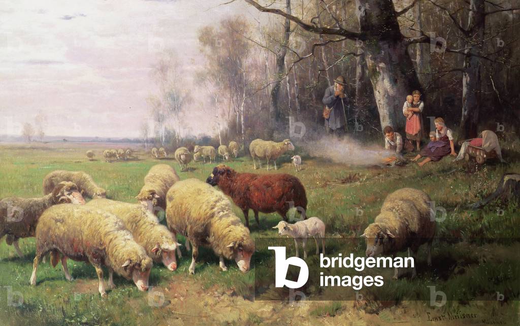 The Shepherd's Family