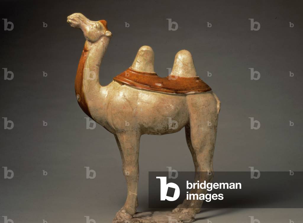 Pottery model of a standing camel, Chinese, T'ang Dynasty, 618-906 (ceramic)