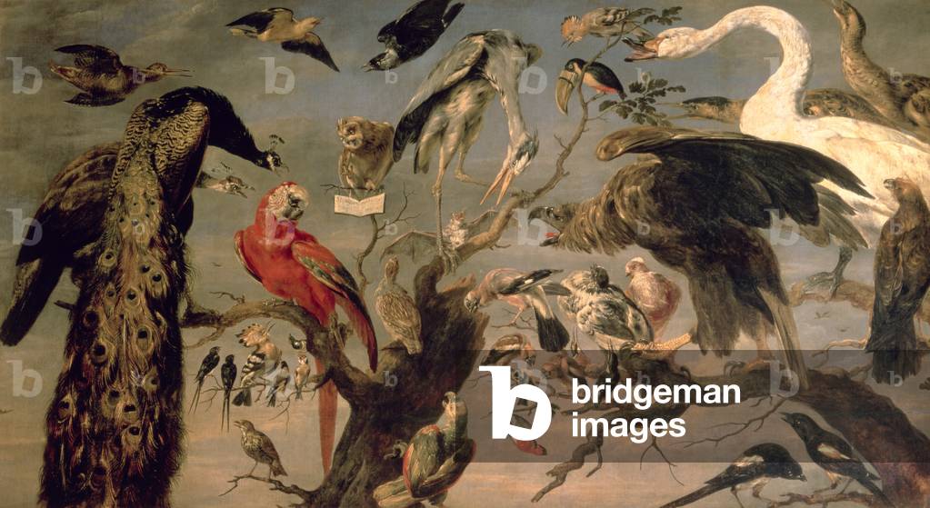 Bild von Gemälde "Das Vogelkonzert (Öl auf Leinwand)", 17. Jahrhundert von Frans Snyders or Snijders