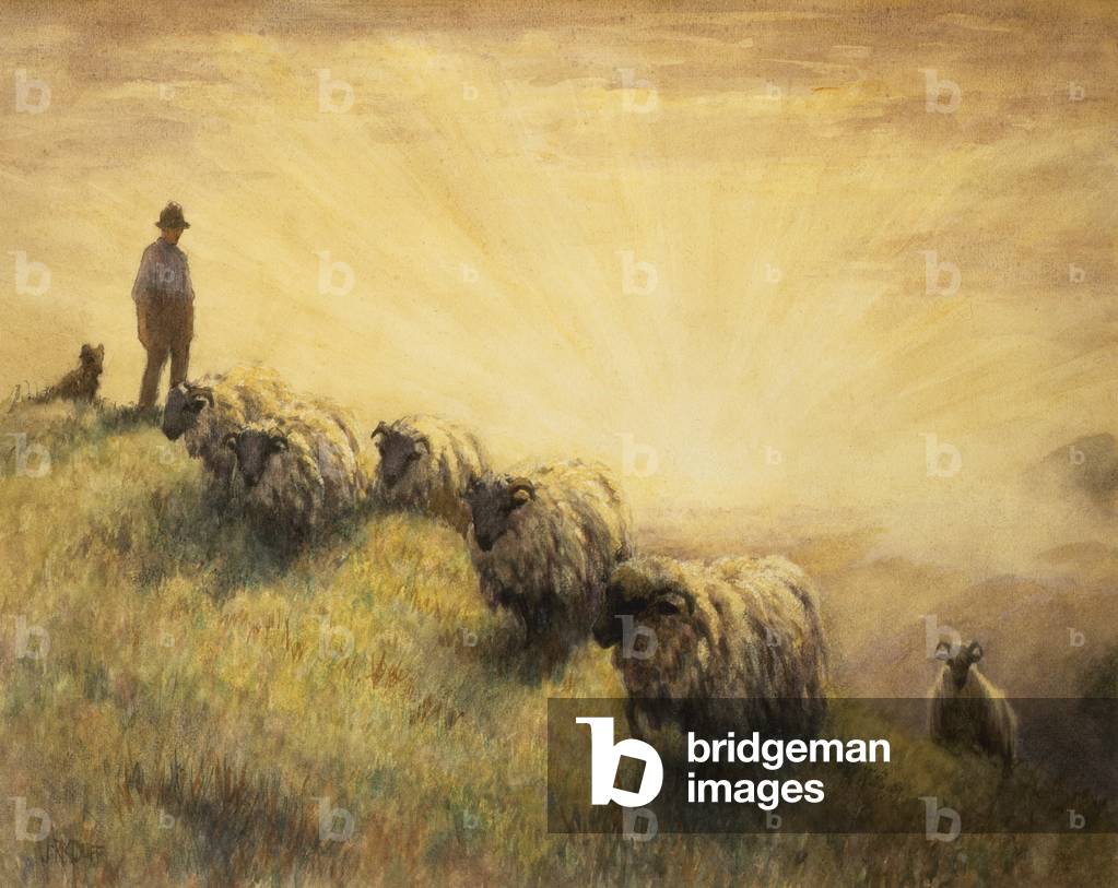 Shepherd Bringing Home his Flock
