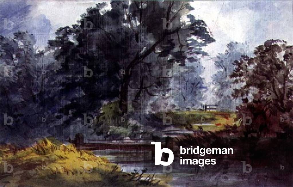 Landscape, with stream and tree