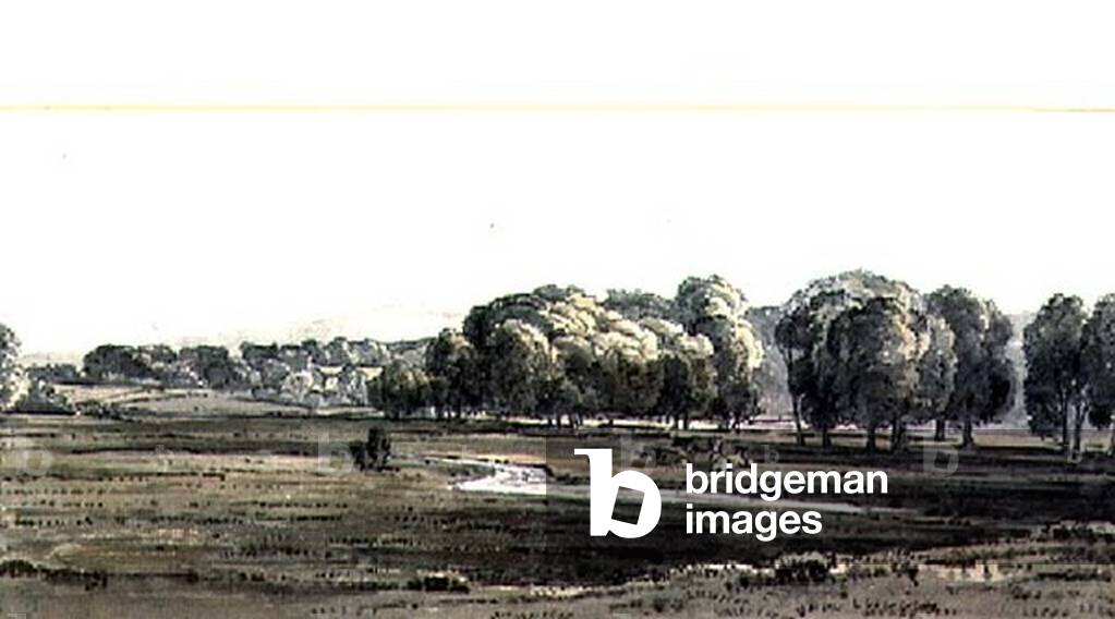 Landscape with Meadow and Stream