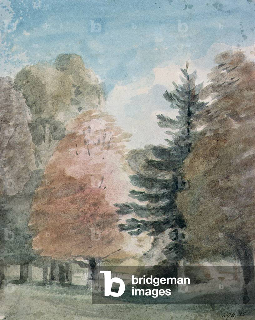 Study of Trees in a Park (watercolour)