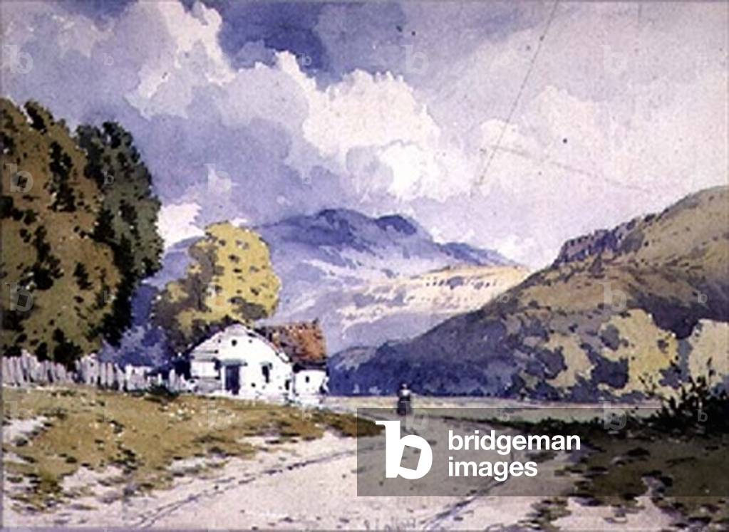 A Hilly Landscape
