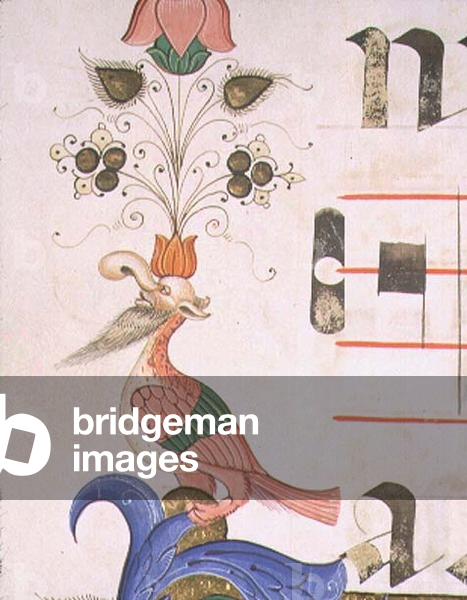 Missal 515 f.120v Grotesque bird with human head, detail of decorative border from a Choir Book executed before 1449 (vellum)