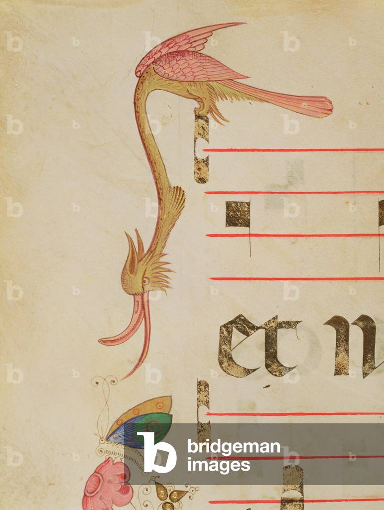 Messale 515 f.9r Fantastico uccelli caccia a una farfalla, dettaglio di bordo decorativo da un libro corale es