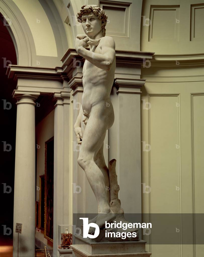 David, 1501-04 (marble)