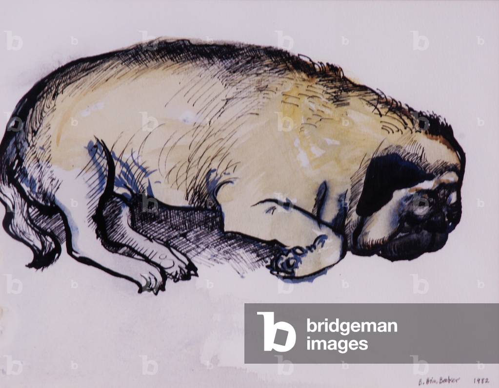 "Hogarth Sleeping", 1982 von Brenda Brin Booker