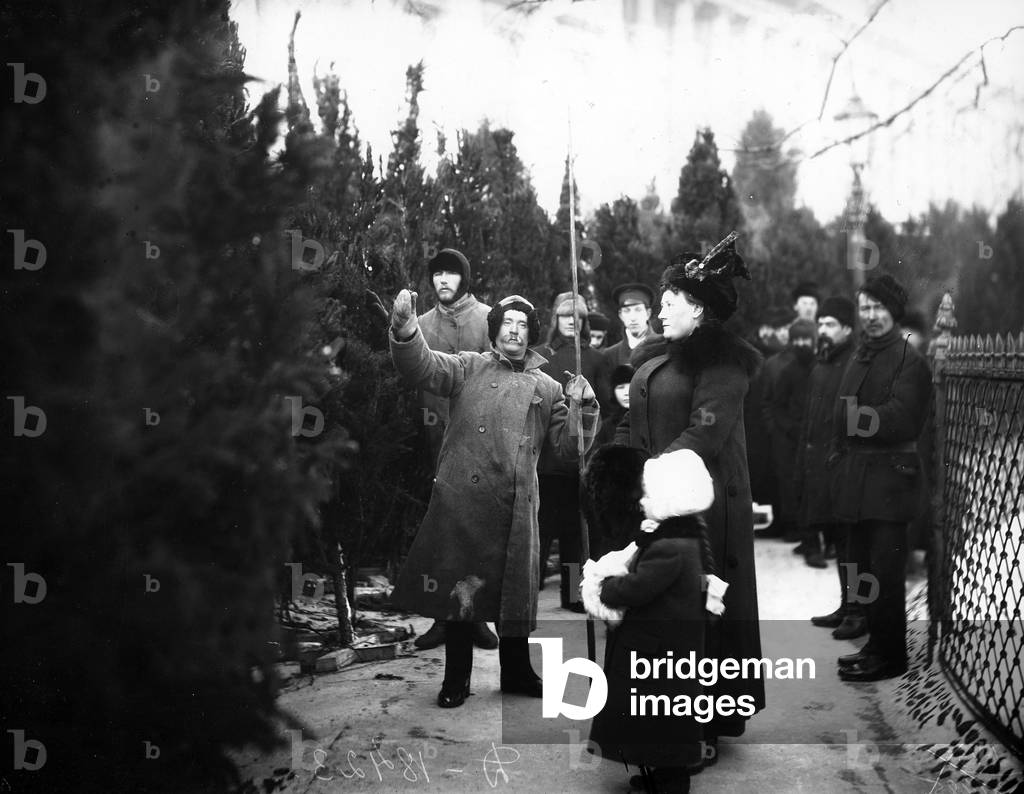 Christmas trees for sale, St Petersburg, c.1913 (b/w photo)