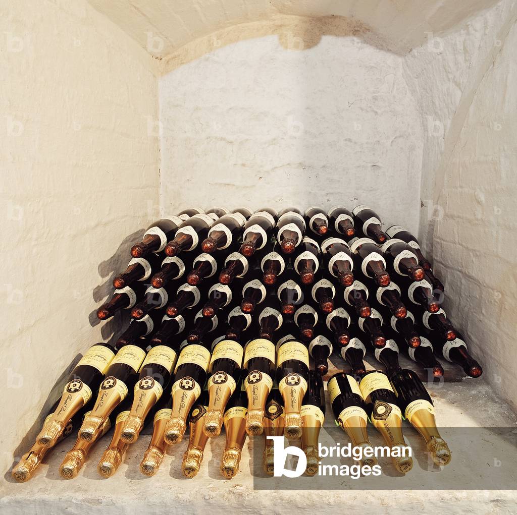 Wine and champagne, Cellar (photo)