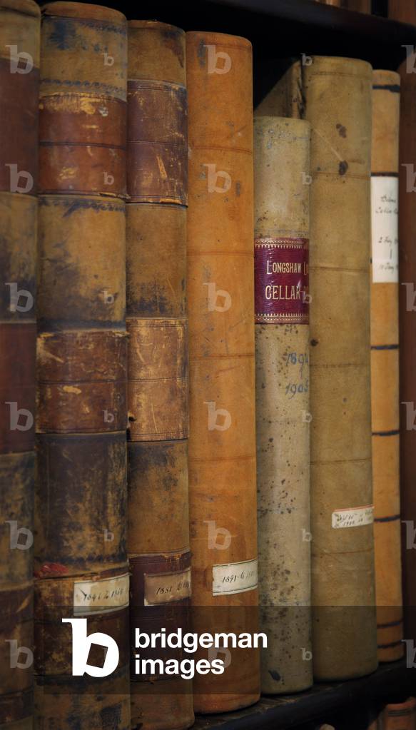 Books in the Muniment Room (photo)