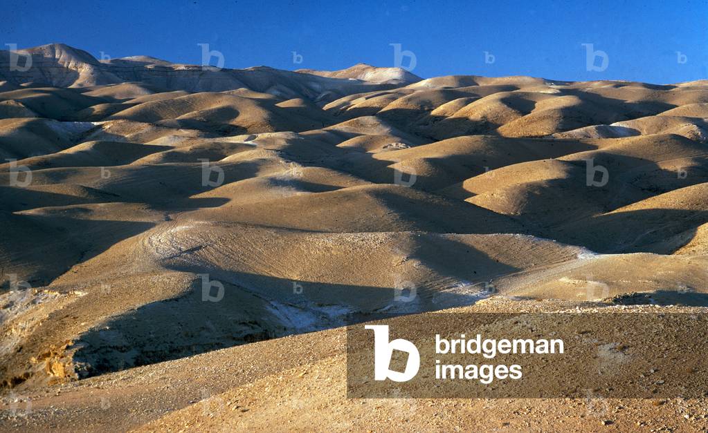 Judaean Desert (photo)