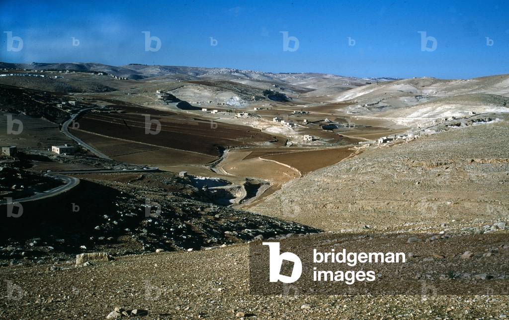 Judaean Desert (photo)