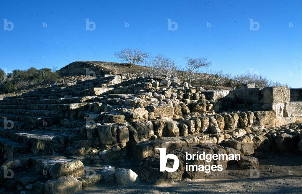 The Acropolis at Samaria, Sebastia, Palestine (photo)