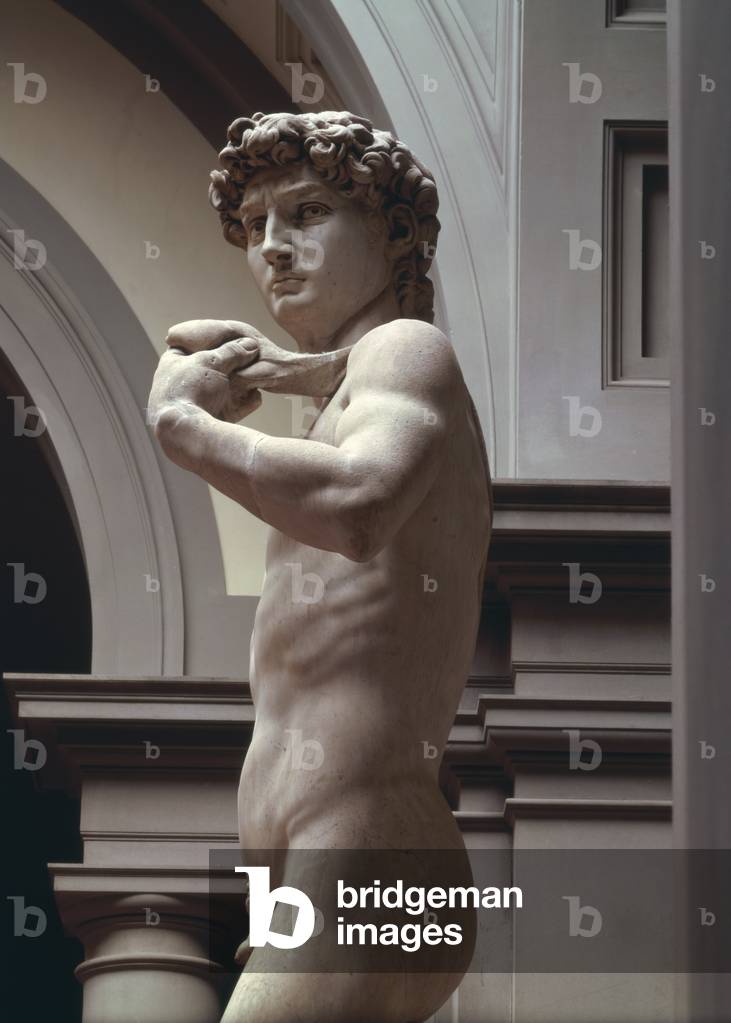 David, detail of upper section by Michelangelo Buonarroti (1475-1564), 1504 (marble)