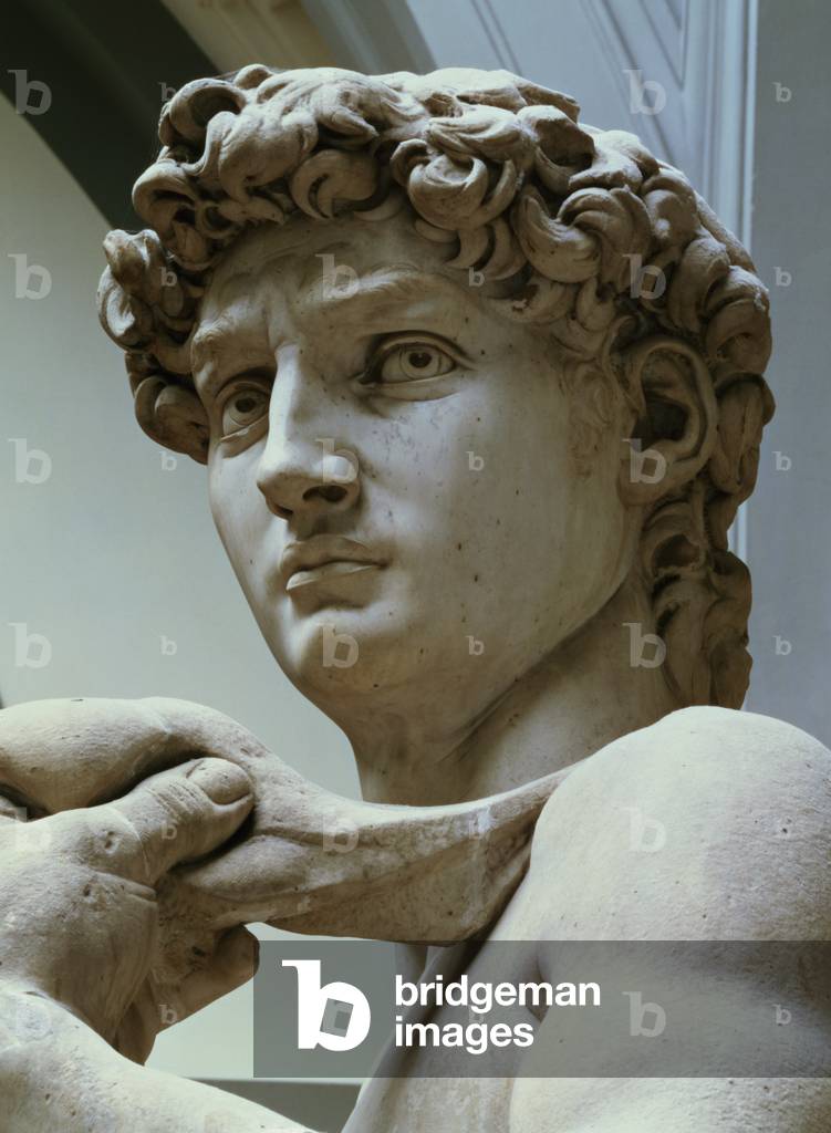 David, 1504 (marble)