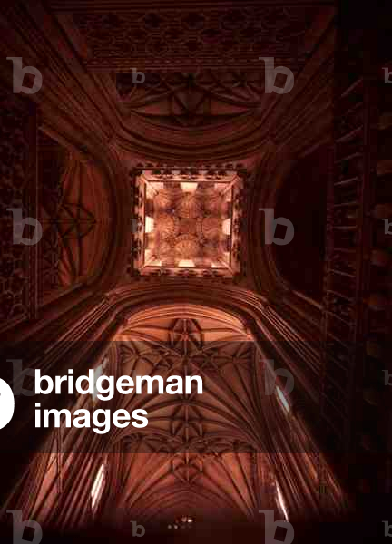 View of the ceiling (photo)