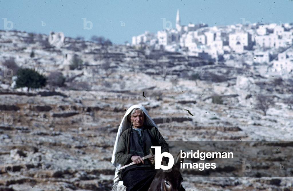 Woman on a donkey, Judaean Desert (photo)