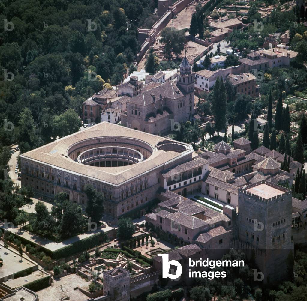 Aerial view of the Alhambra (photo)