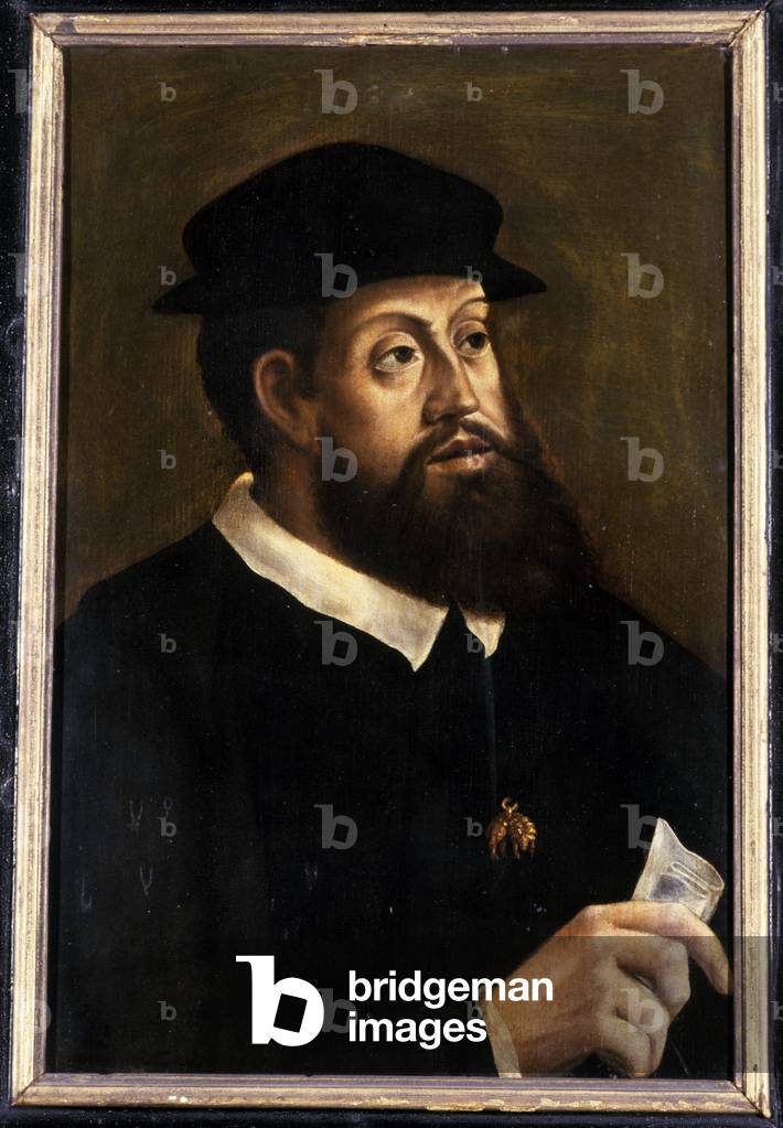 King Charles V, 1501-1600 (oil on canvas)