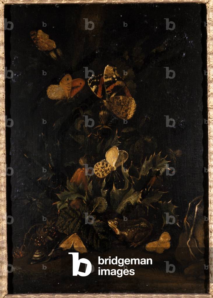 Flowers with butterflies and toad (oil on oak wood)