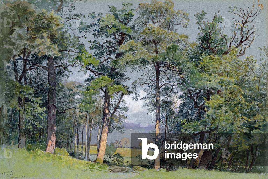 Coppet, Lake Geneva, 1880 (w/c on paper)