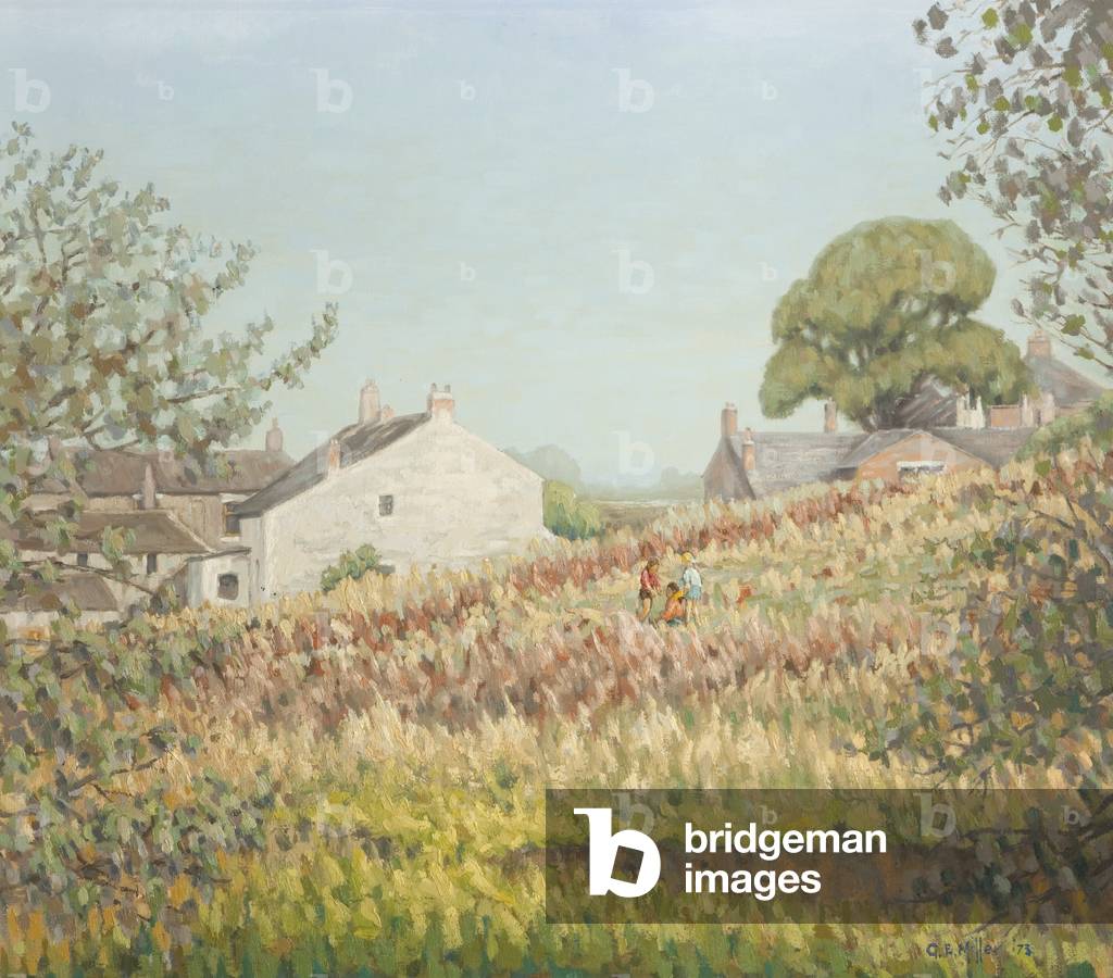 Pleckgate Fold, 1973 (oil on board)
