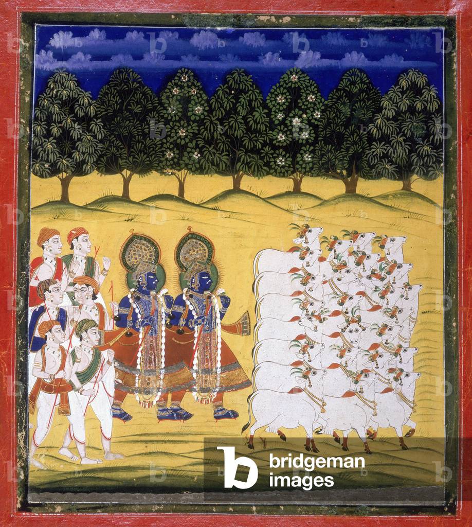 Krishna e Balarama (il fratello maggiore di Krishna), nelle vesti di pastori di mucche, accompagnano le mucche