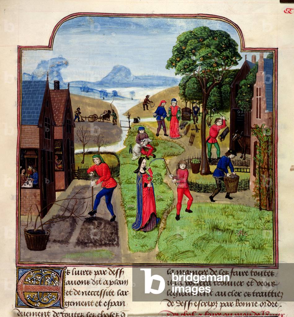 "Aggiungere 19720 f.305 Proseguimenti agricoli", 15th Secolo