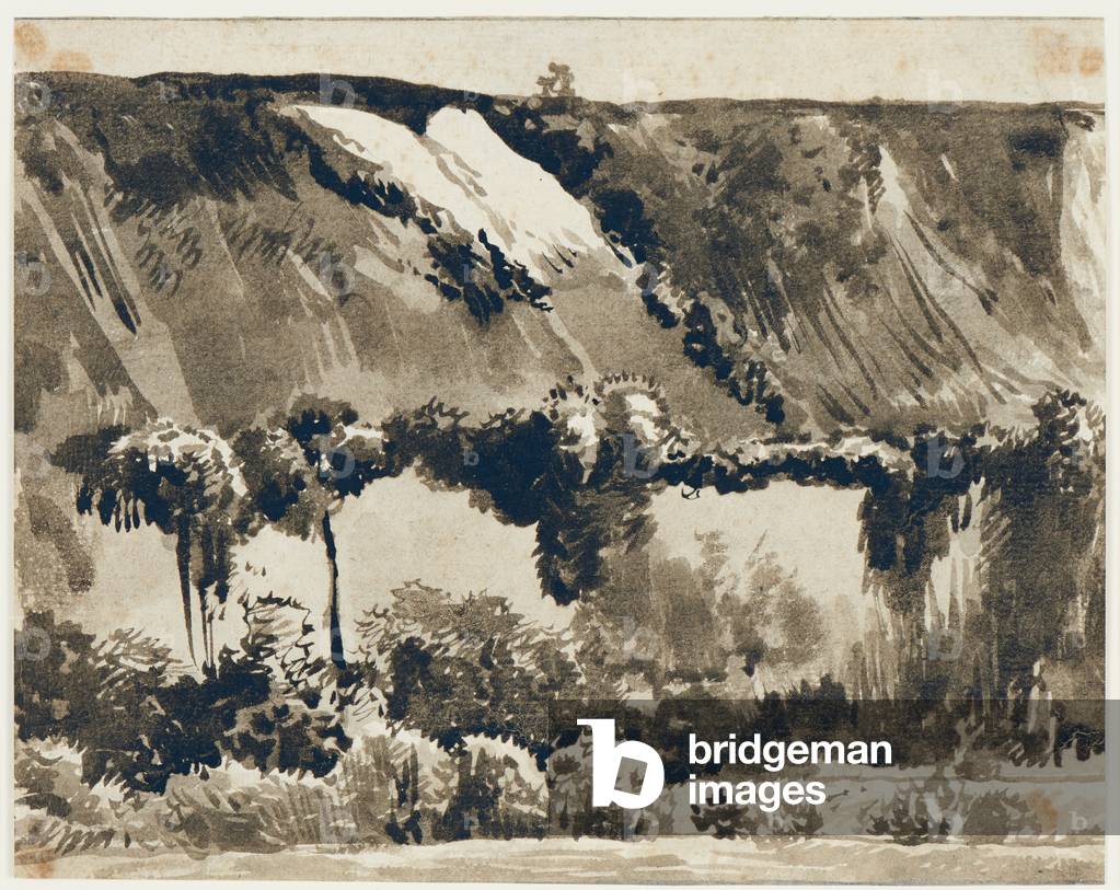 Landscape: view an escarpment c.1780-1822 (brush and ink in various hues and tones of brown grey ink with grey wash)