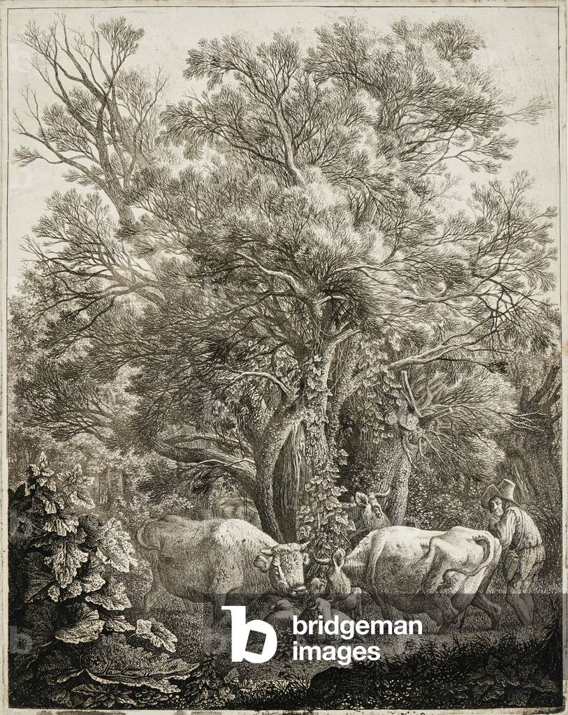 Herdsman with three cows and sheep resting under a tree, c.1805-09 (etching)