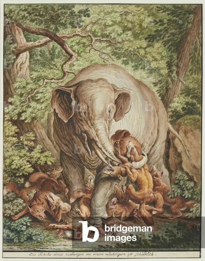 An Elephant Fighting Foxes, c.1740 (pen and black and grey ink and w/c over black chalk)