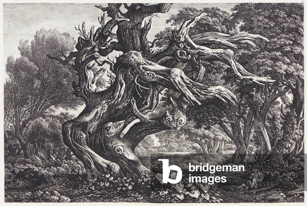 Fantastical oak, c.1830-35 (etching)