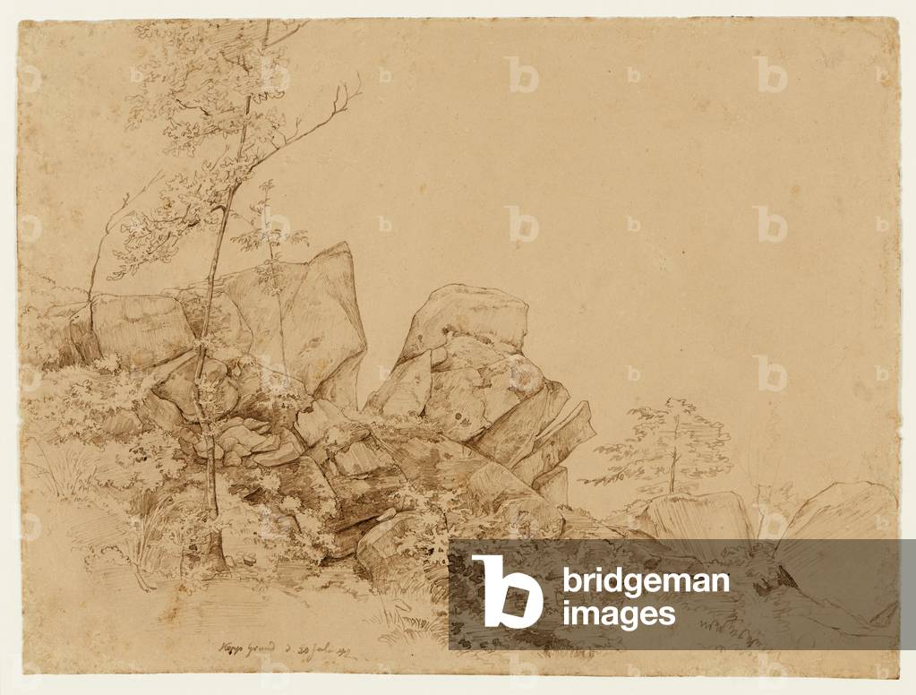 Rocks and undergrowth, 1842 (pen and brown ink with brown wash)