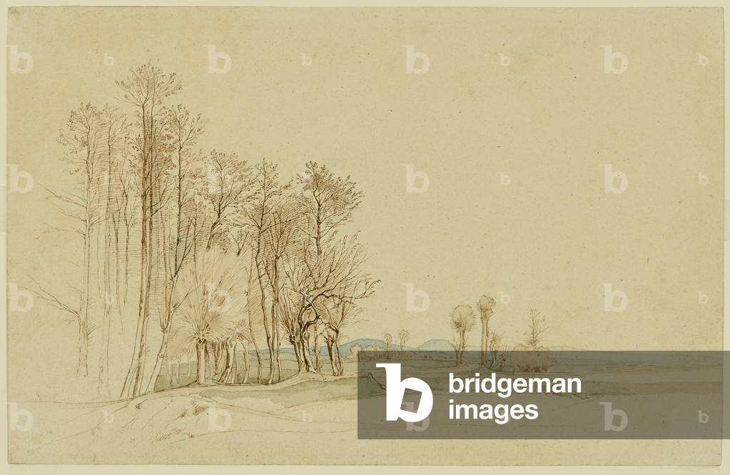 Landscape with trees, 1843-47 (pen and brown ink with w/c over graphite)