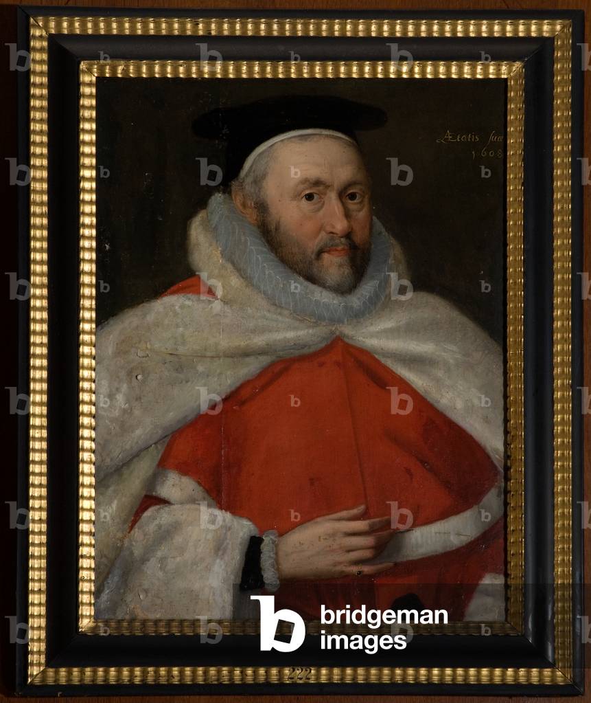 Portrait of a Judge, half-length, in robes (oil on panel)