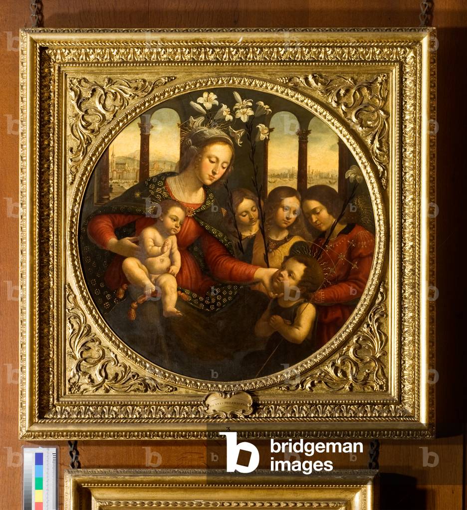 The Madonna and Child with the Infant Saint John the Baptist and Angels (oil on panel, circular)
