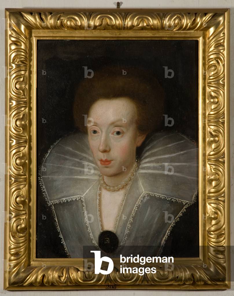 Portrait of Elizabeth Devereux, Mrs. Vernon (1541-1583) (oil on panel)