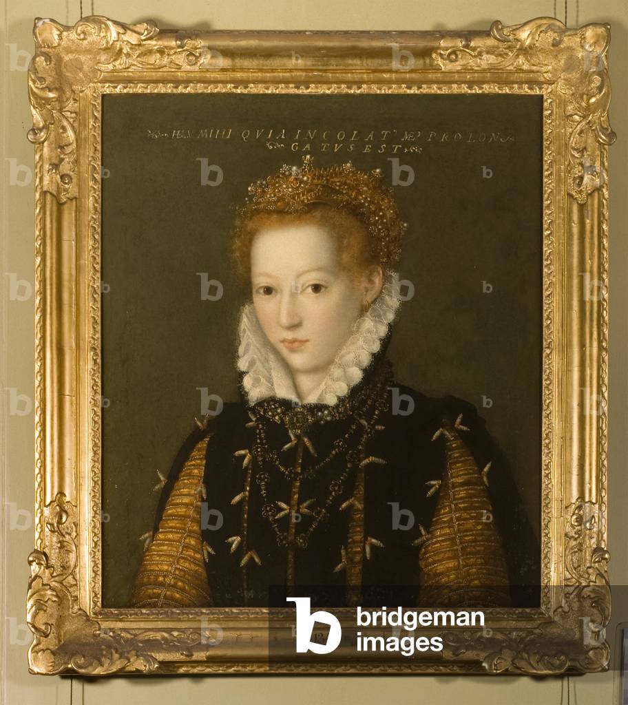 Portrait of a young lady, half length, late 16th century (oil on canvas)
